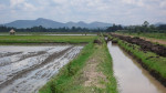 Bunyala Irrigation scheme